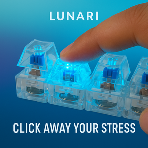 4-hole Transparent with Light 1pcs